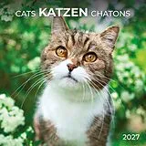 Kalender Katzen / Cats 2027 von