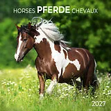 Kalender Pferde / Horses 2027 von 