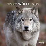 Kalender Wölfe / Wolves 2027 von 