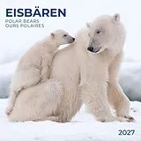 Kalender Eisbären / Polar Bears 2027 von