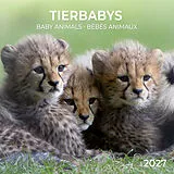 Kalender Tierbabys / Baby Animals 2027 von 