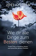 E-Book (epub) Wie dir alle Dinge zum Besten dienen von Joel Osteen