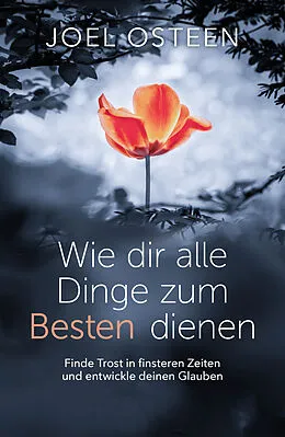 E-Book (epub) Wie dir alle Dinge zum Besten dienen von Joel Osteen