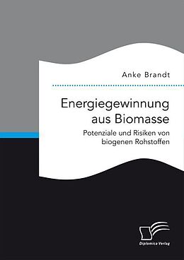 Kartonierter Einband Energiegewinnung aus Biomasse. Potenziale und Risiken von biogenen Rohstoffen von Anke Brandt