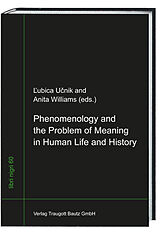 Couverture cartonnée Phenomenology and the Problem of Meaning in Human Life and History de 