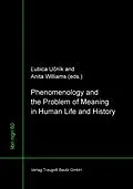 E-Book (pdf) Phenomenology and the Problem of Meaning in Human Life and History von 