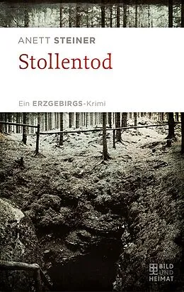 E-Book (epub) Stollentod von Anett Steiner