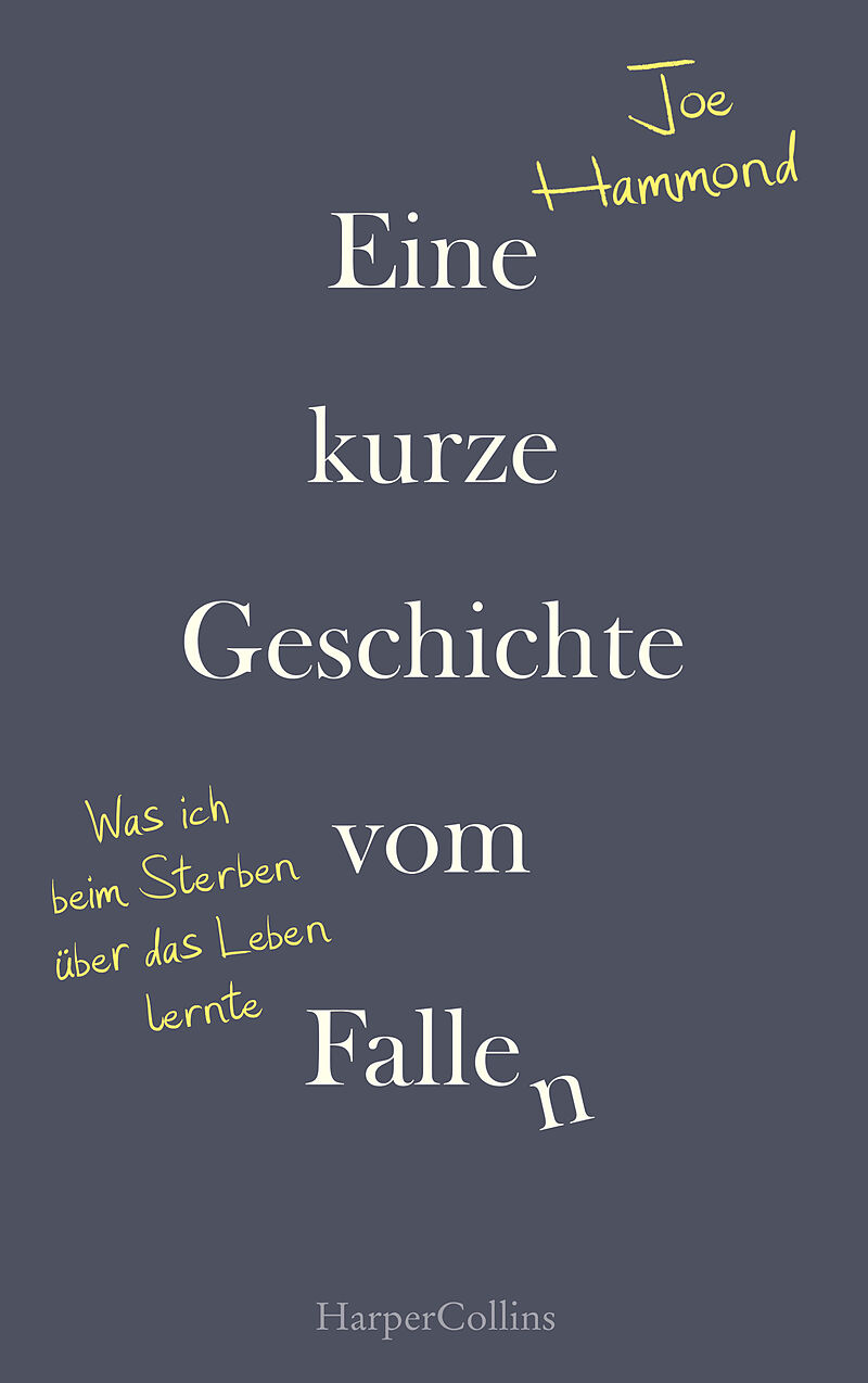 Eine kurze Geschichte vom Fallen  Was ich beim Sterben über das Leben lernte