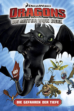 Fester Einband Dragons - die Reiter von Berk 2 von DreamWorks