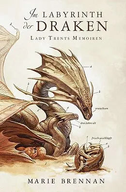 E-Book (epub) Lady Trents Memoiren 4: Im Labyrinth der Draken von Marie Brennan