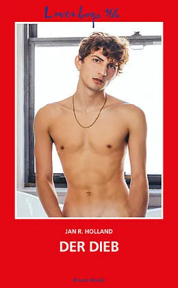 E-Book (epub) Loverboys 166: Der Dieb von Jan R. Holland