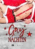 E-Book (epub) Gaynachten von Antje Ippense, Christian Stielow, Ina Rieder