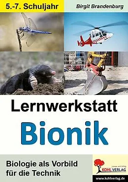 E-Book (pdf) Lernwerkstatt Bionik von Birgit Brandenburg