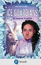 E-Book (epub) Ice Guardians 2. Der magische Eissplitter von Anna Maria Praßler