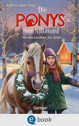 E-Book (epub) Die Ponys von Lillasund 3. Winterzauber im Stall von Kathrin Lena Orso