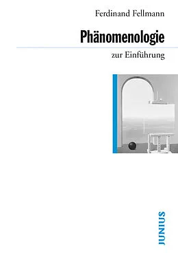 E-Book (epub) Phänomenologie zur Einführung von Ferdinand Fellmann