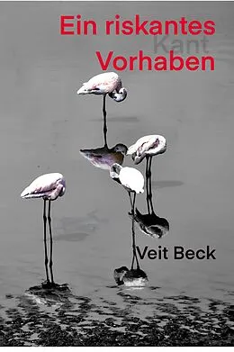 E-Book (epub) Ein riskantes Vorhaben von Veit Beck