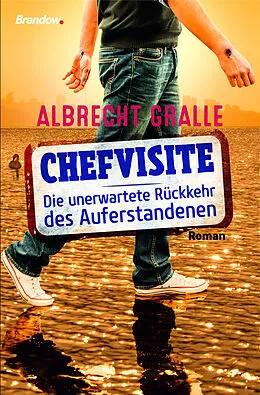 E-Book (epub) Chefvisite. Die unerwartete Rückkehr des Auferstandenen von Albrecht Gralle