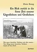E-Book (epub) Ein Blick zurück in die ferne Zeit unserer Urgroßeltern und Großeltern von Dieter Kremp