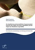 E-Book (pdf) Zur Qualität der partnerschaftlichen Zusammenarbeit zwischen den Trägern der freien Jugendhilfe und den Trägern der öffentlichen Jugendhilfe von Maik Friedrich, René Widulinski
