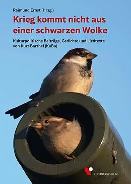 E-Book (pdf) Krieg kommt nicht aus einer schwarzen Wolke von Raimund Ernst