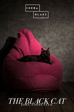 eBook (epub) The Black Cat de John Todhunter