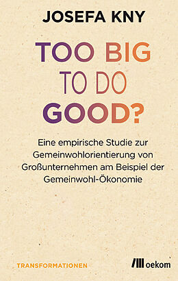 Kartonierter Einband Too big to do good? von Josefa Kny