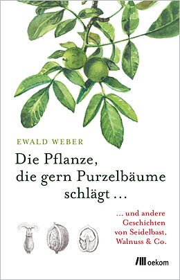 E-Book (epub) Die Pflanze, die gern Purzelbäume schlägt  von Ewald Weber