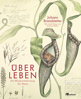 E-Book (pdf) Über Leben von Johann Brandstetter