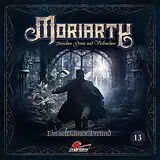 Audio CD (CD/SACD) Moriarty 13 - Ein Seltsamer Freund von