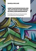 E-Book (pdf) Arbeitsanforderungen und -belastungen in der niedrigschwelligen Drogenhilfe von Daniela Molnar