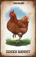 E-Book (epub) DSA: Zinke Rennt von Sa?a Stani?i?