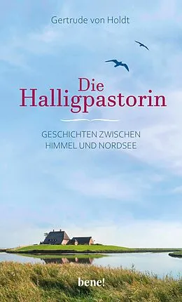 E-Book (epub) Die Halligpastorin von Gertrude von Holdt
