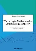 E-Book (epub) Warum agile Methoden den Erfolg nicht garantieren. Ursachen und Handlungsempfehlungen zum Paradoxon der Agilität von Michael Sturzenegger