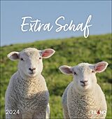 Kalender Extra Schaf Postkartenkalender 2024. Ein kleiner Kalender zum Aufstellen und Aufhängen. Süße Schafe in allen Lebenslagen in einem Postkarten-Fotokalender. von 