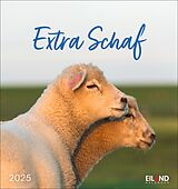 Kalender Extra Schaf Postkartenkalender 2025 von 