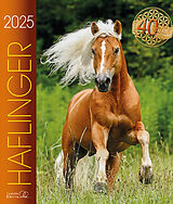Kalender Haflinger 2025 von 