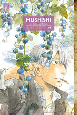 Kartonierter Einband Mushishi - Perfect Edition 3 von Yuki Urushibara