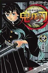 Kartonierter Einband Demon Slayer 12 von Koyoharu Gotouge