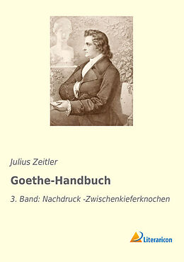 Kartonierter Einband Goethe-Handbuch von 
