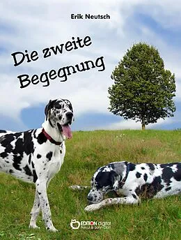 E-Book (pdf) Die zweite Begegnung von Erik Neutsch