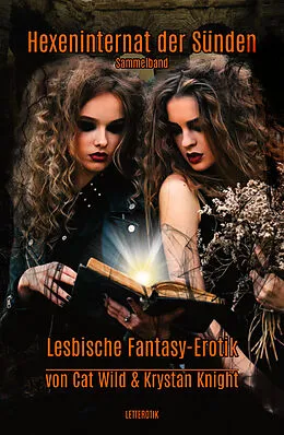 E-Book (epub) Hexeninternat der Sünden von Krystan Knight, Cat Wild