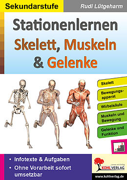 Kartonierter Einband Stationenlernen Skelette, Muskeln &amp; Gelenke von Rudi Lütgeharm