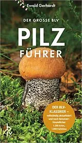 Kartonierter Einband Der große BLV Pilzführer von Ewald Gerhardt