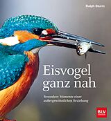 E-Book (epub) Eisvogel ganz nah von Ralph Sturm