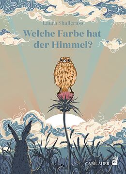 Fester Einband Welche Farbe hat der Himmel? von Laura Shallcrass