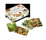 Das Ernst-Haeckel-Memo-Spiel Spiel