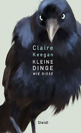 Fester Einband Kleine Dinge wie diese von Claire Keegan