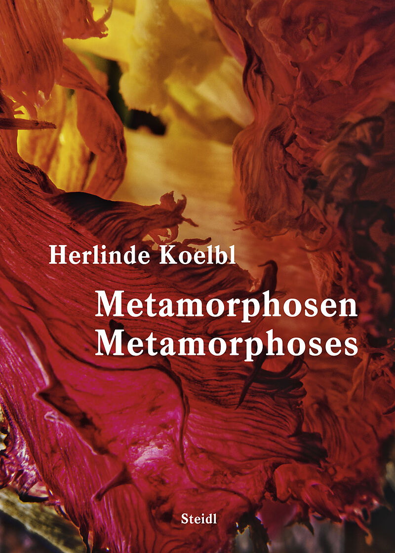 Metamorphosen / Metamorphoses