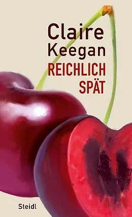 E-Book (epub) Reichlich spät von Claire Keegan